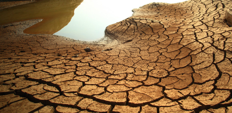 2050’de 1 milyar kişi göç edecek! Türkiye’yi de etkiliyor 1 saniyede 4 futbol sahası
